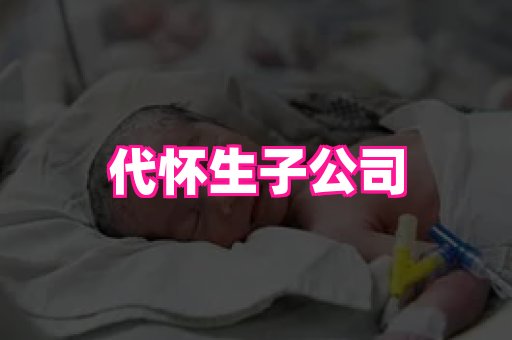 gfg孕网 1