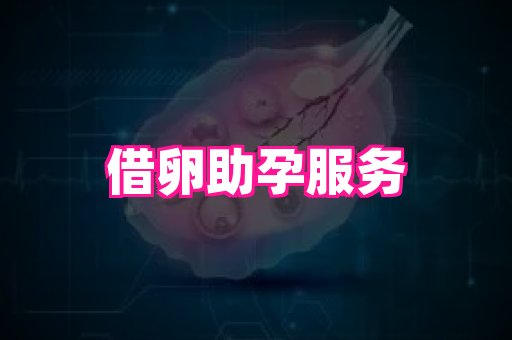 gfg孕网 2
